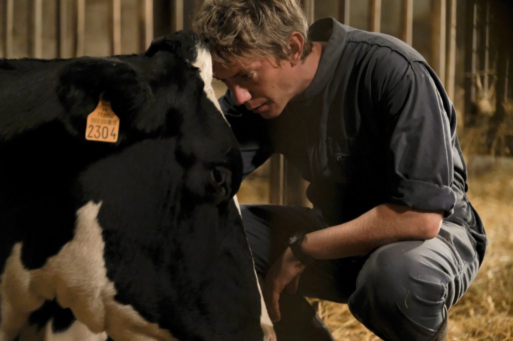 SELECCION-bloodymilkj38-50-copieclairpetite