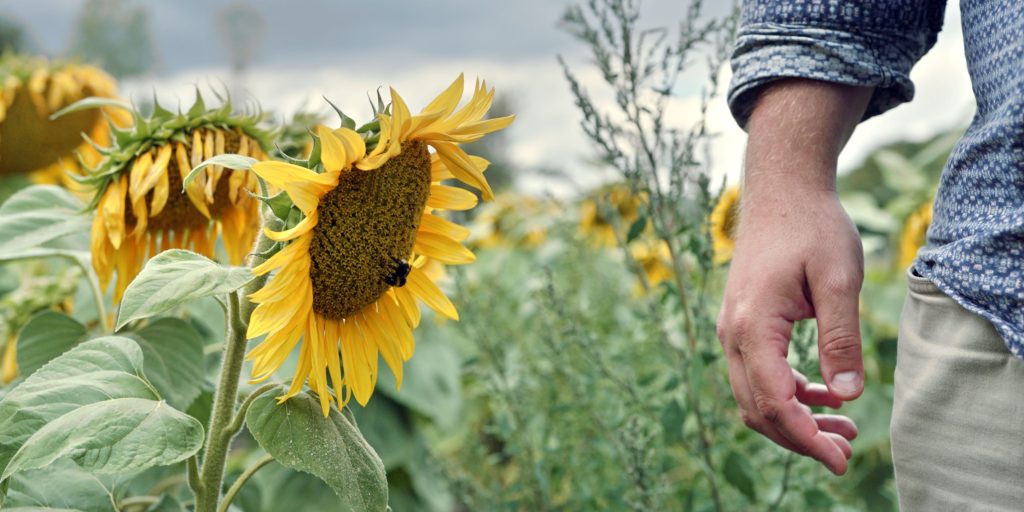 Photo-3_CAPA-Studio_Bright-Bright-Bright_UGC-Images_Orange-Studio_France-2-Cinema_2021