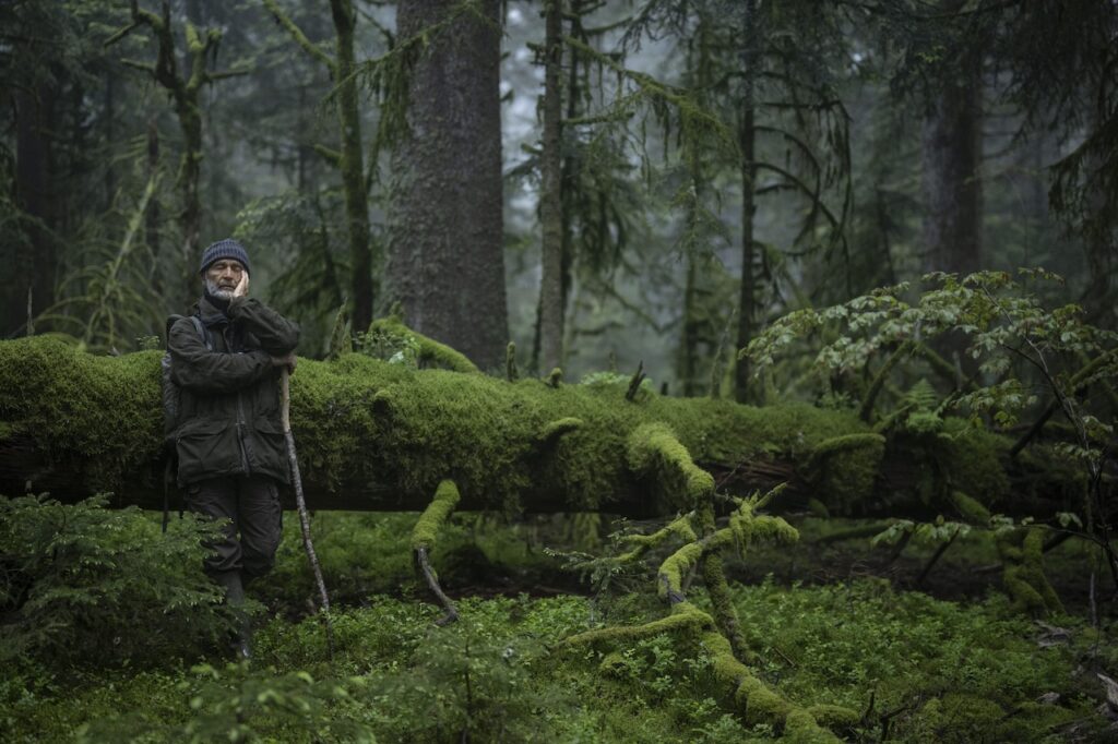 LeChantDesForets_VincentMunier6 (1)